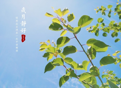 愿歲月靜好，山河無(wú)恙